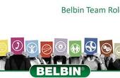 belbinteamroleslogo.jpg
